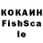 Бошки Шишки ГИДРОПОН voloshka 23