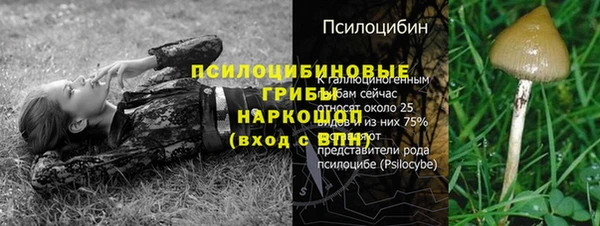 экстази Горнозаводск