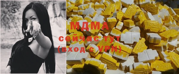 прущие грибы Вяземский