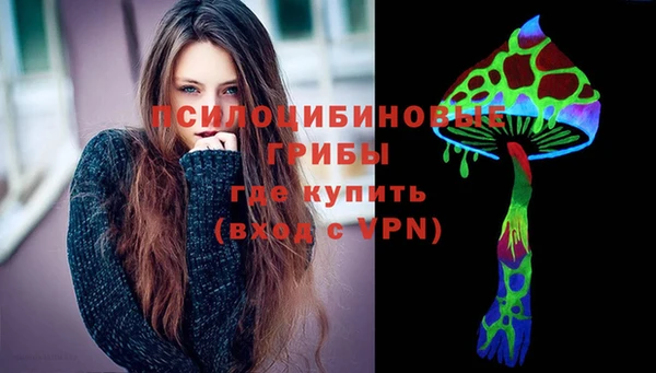 прущие грибы Вяземский