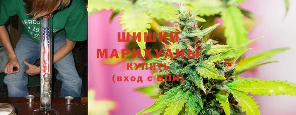 прущие грибы Вяземский