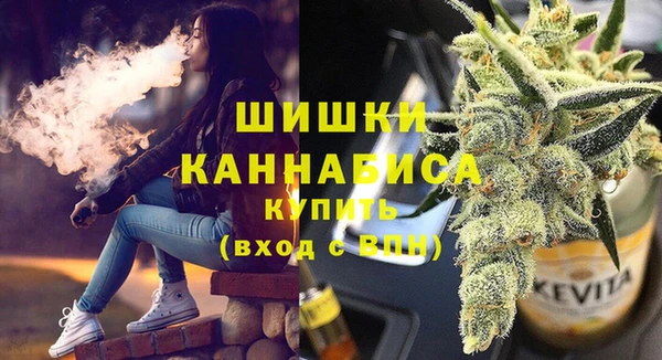 прущие грибы Вяземский