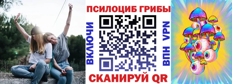 Купить закладки  Курлово  Псилоцибиновые грибы прущие грибы 