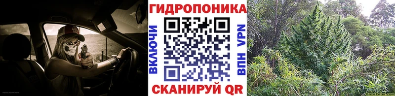 Конопля гибрид  Купить  Курлово 